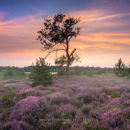 Natuurhuisje Oisterwijk 빌라 외부 사진