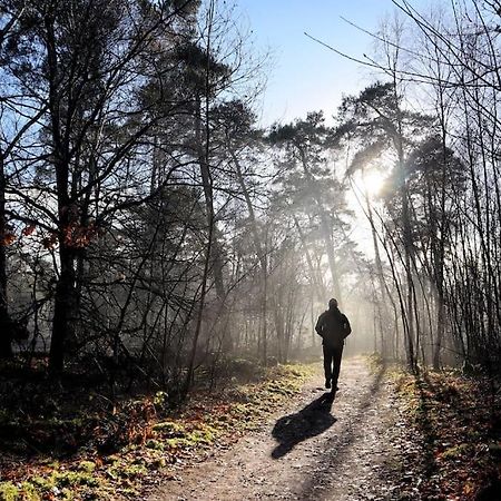 Natuurhuisje Oisterwijk 빌라 외부 사진