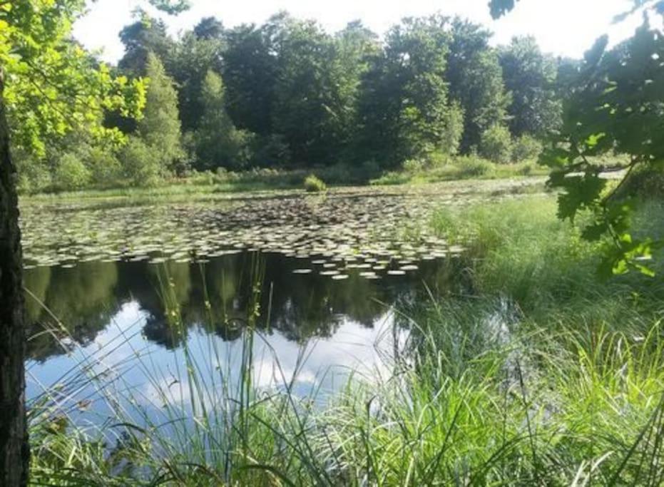 Natuurhuisje Oisterwijk 빌라 외부 사진