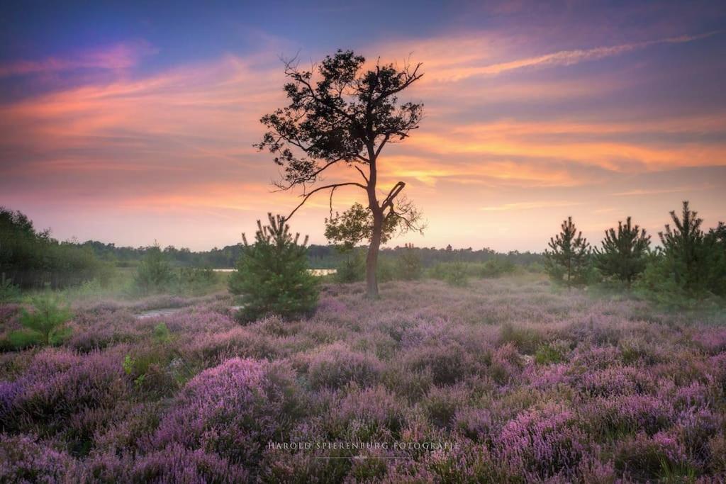 Natuurhuisje Oisterwijk 빌라 외부 사진