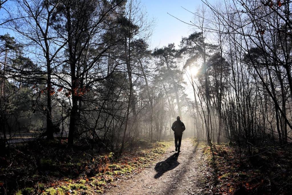 Natuurhuisje Oisterwijk 빌라 외부 사진