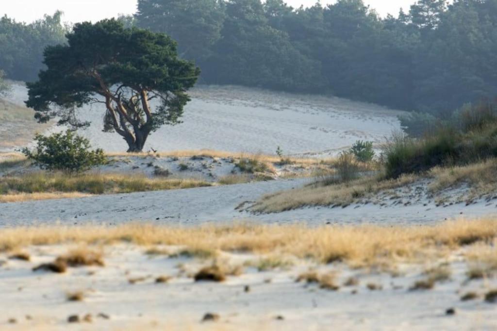 Natuurhuisje Oisterwijk 빌라 외부 사진