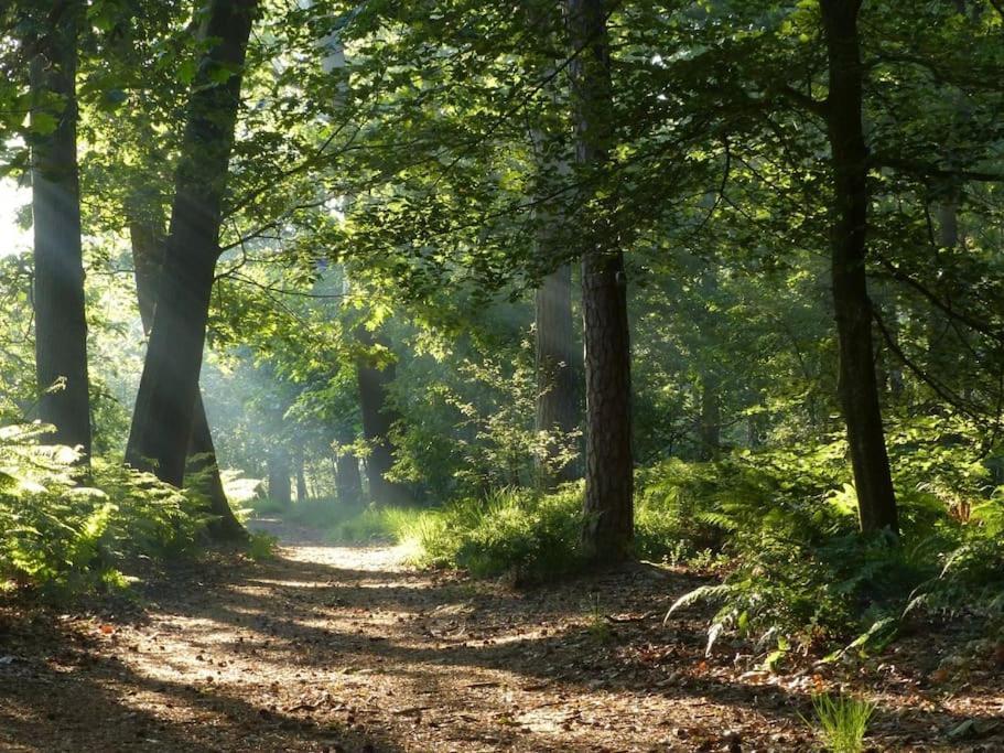 Natuurhuisje Oisterwijk 빌라 외부 사진