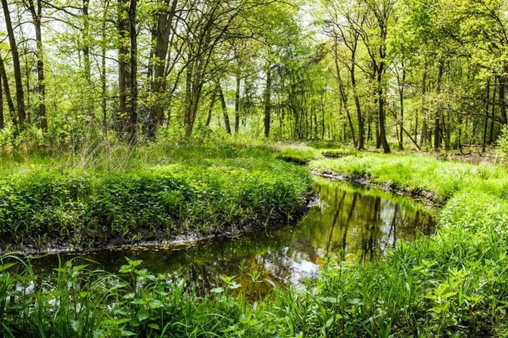 Natuurhuisje Oisterwijk 빌라 외부 사진