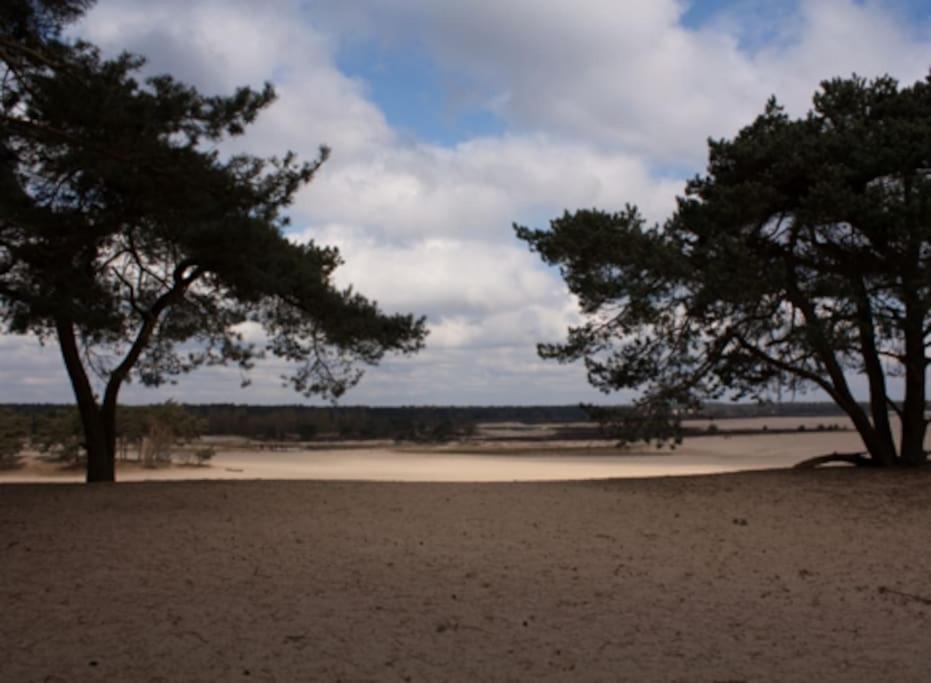 Natuurhuisje Oisterwijk 빌라 외부 사진