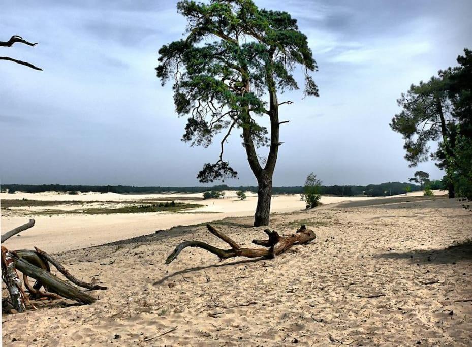 Natuurhuisje Oisterwijk 빌라 외부 사진